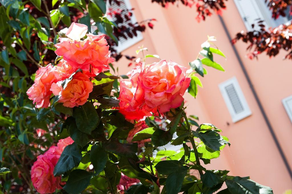 Hotel La Toscana Arezzo Eksteriør billede